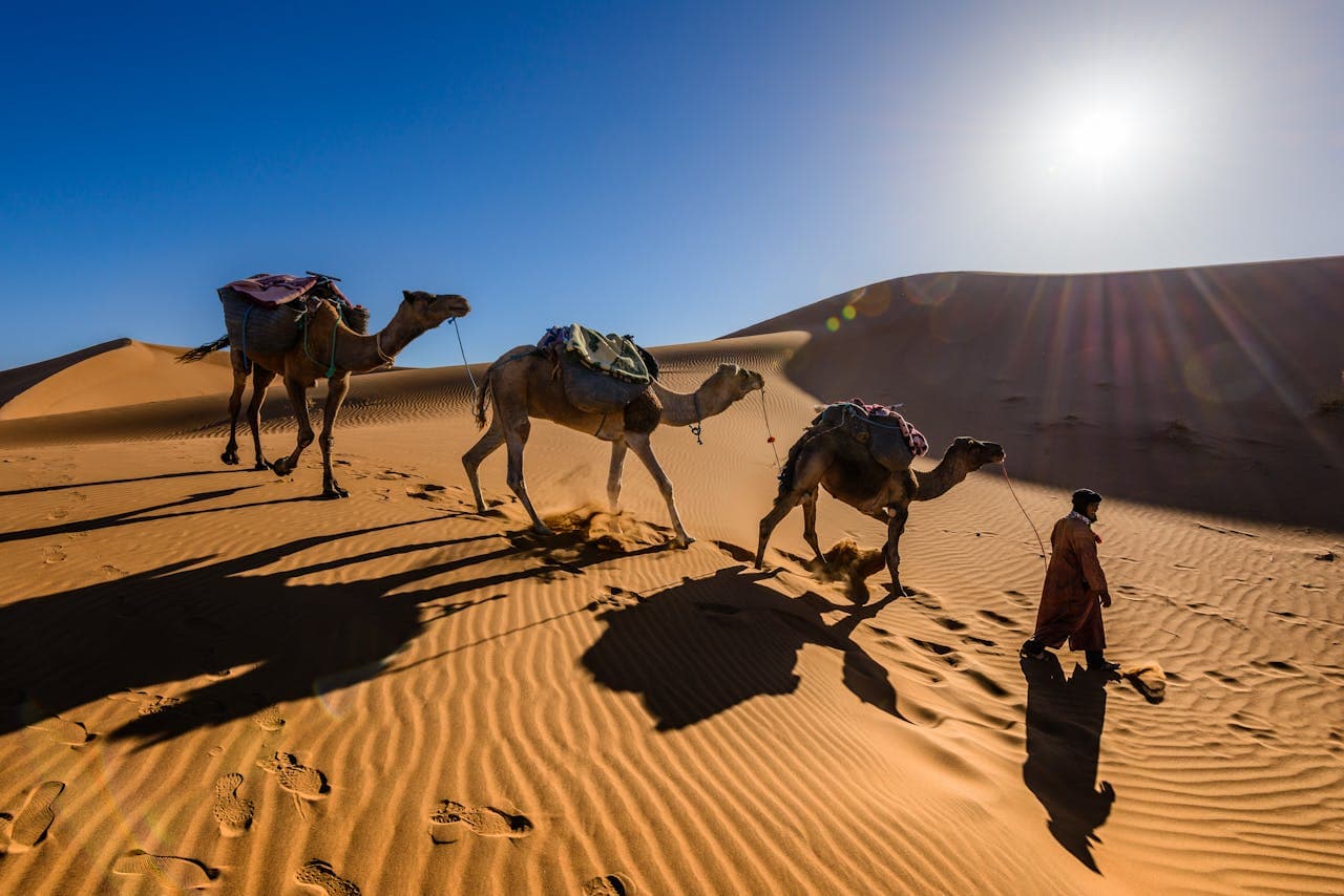 Sahara Morocco